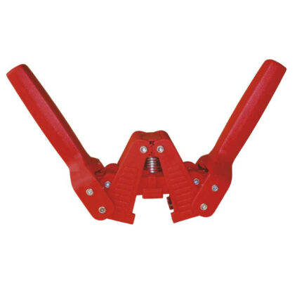 Punainen kruunukorkittaja Emily