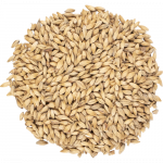 Viking pale ale malt