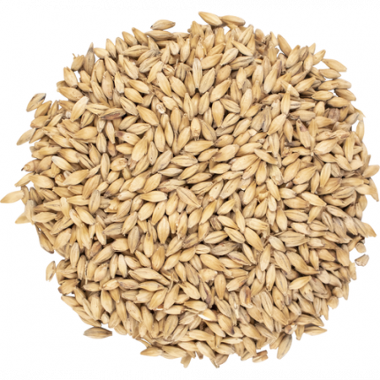 Viking pale ale malt