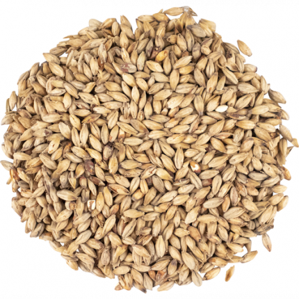 Viking Red Active Malt olutmallas