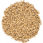 Viking Golden Ale olutmallas