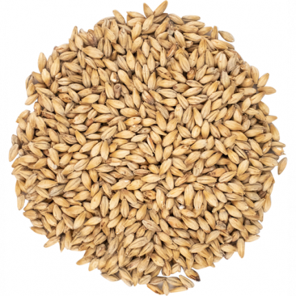 Viking Golden Ale olutmallas