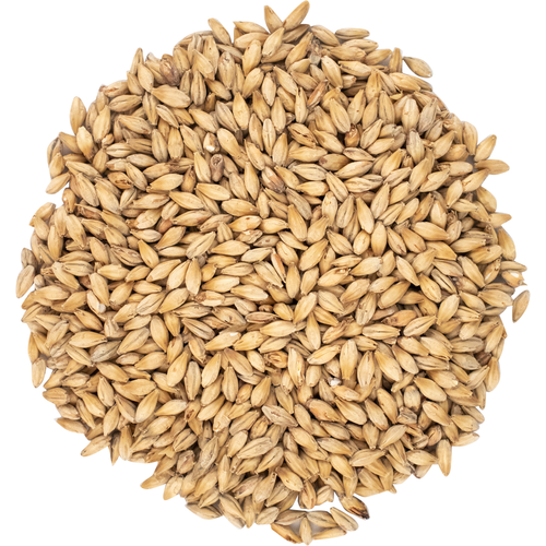 Viking golden ale olutmallas Viking Golden Ale olutmallas