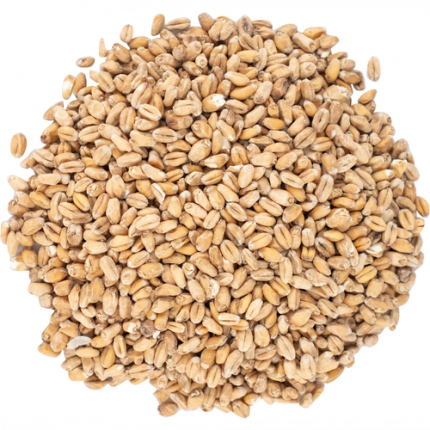 Viking Wheat Malt vehnämallas