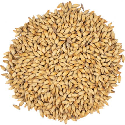 Viking Caramel 100 karamellimallas