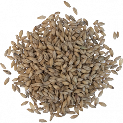 Viking Enzyme malt entsyymimallas