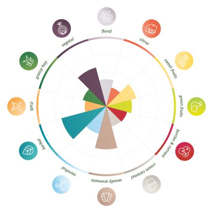 Galaxy humalan makukartta