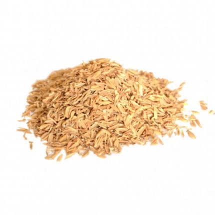 Riisinkuoria kasassa