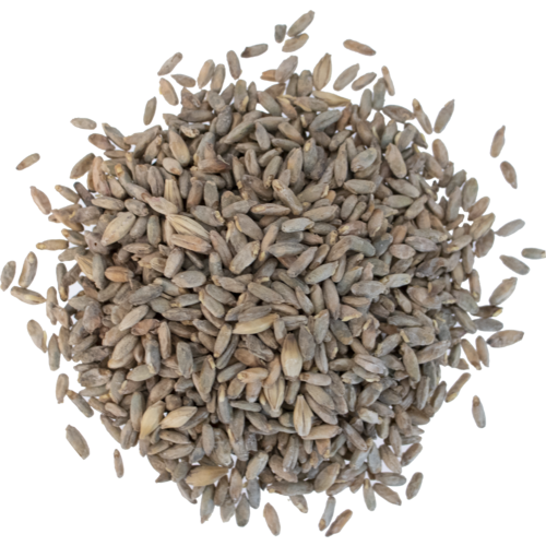 Viking Rye Malt ruismallas Viking Rye Malt ruismallas