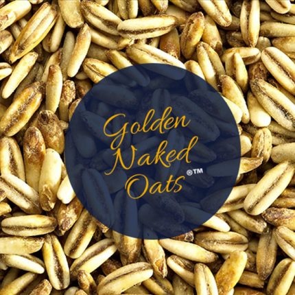 Simpsons malt Golden Naked Oats