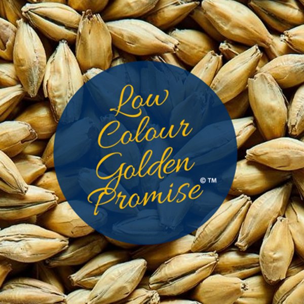 Simpsons malt Low Colour Golden Promise Simpsons malt Low Colour Golden Promise ohramallas