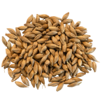 Pehkolan Mallastamo Pale Ale mallas