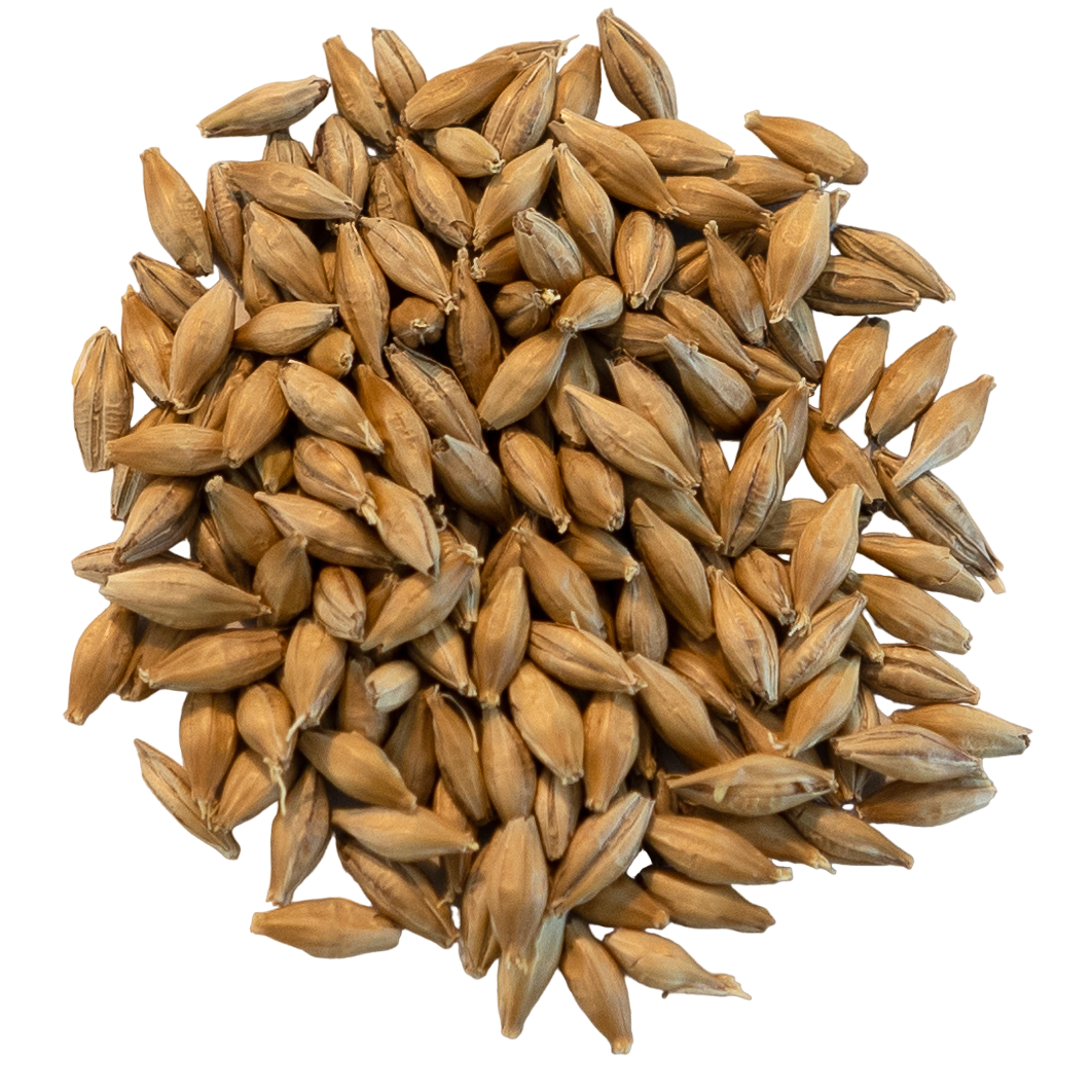 Pehkolan Mallastamo Pilsner Malt Pehkolan Mallastamon Pilsner mallas