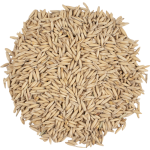 Viking Oat Malt