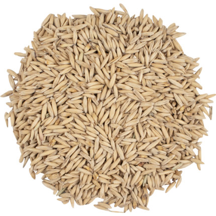 Viking Oat Malt