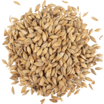 Viking Red Ale mallas