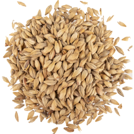 Viking Red Ale mallas