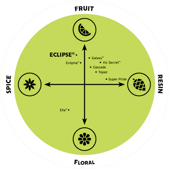 Eclipse humala makukartta
