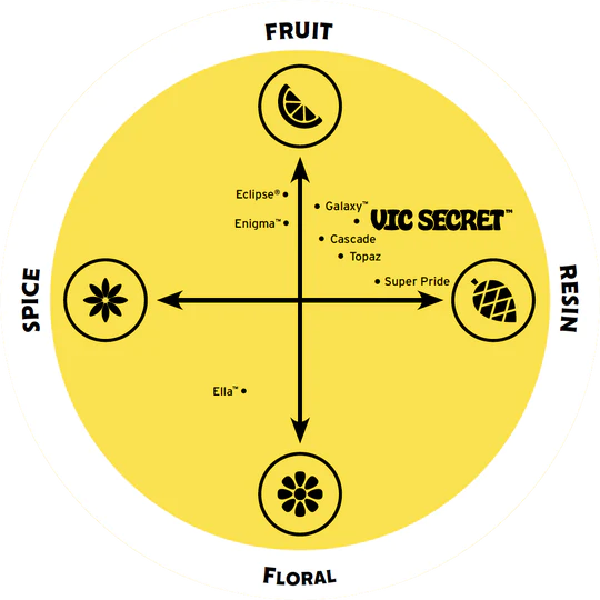 Vic secret makumaailma