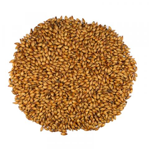 Dingemans Special B MD