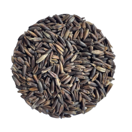 Pehkolan Mallastamon mallastettu mustakaura