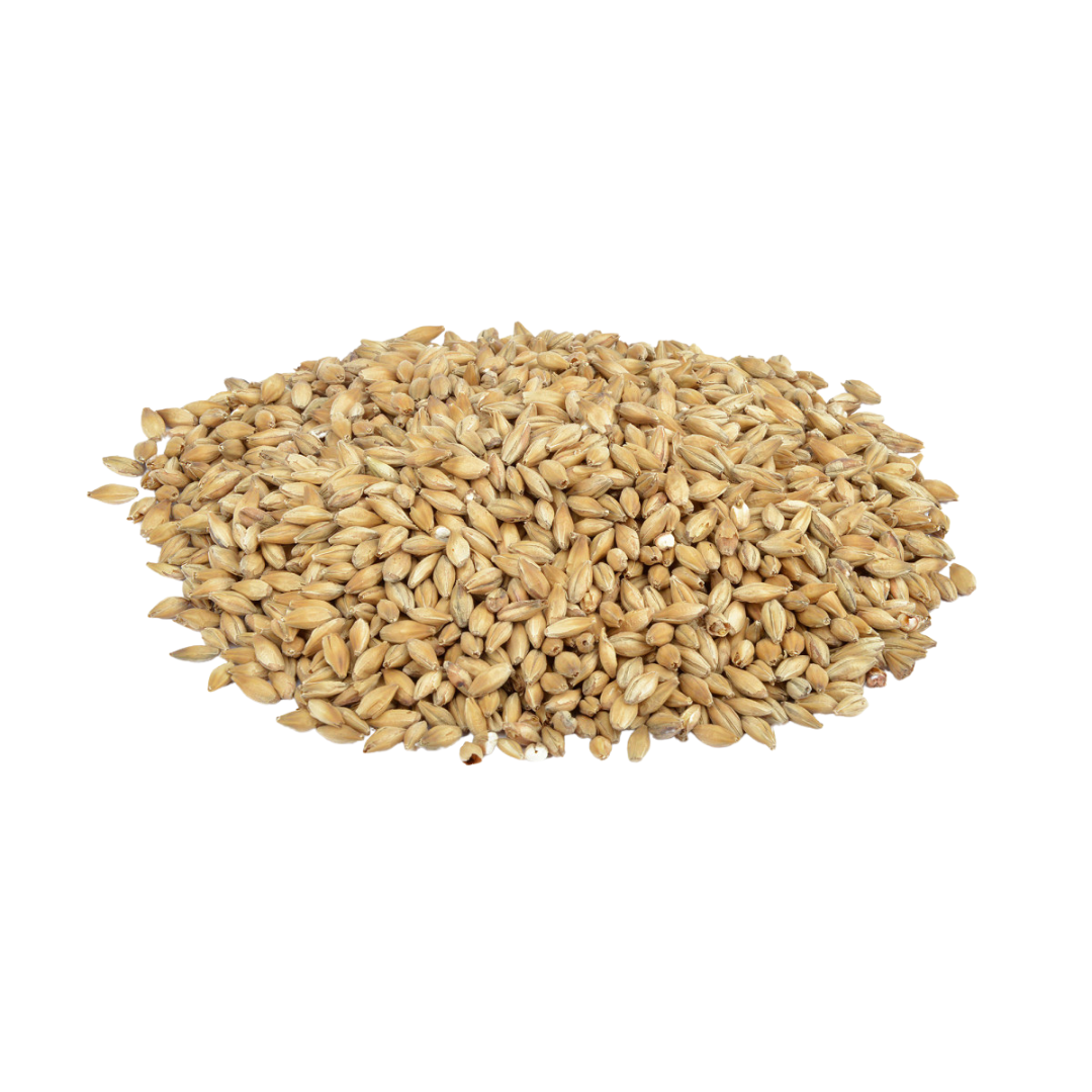 Lattiamallastettu Bohemian Pilsner Weyermann